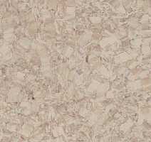 Линолеум Tarkett iq Megalit SAND 0606 фото 1 | FLOORDEALER